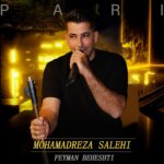 دانلود آهنگ محمدرضا صالحی پری